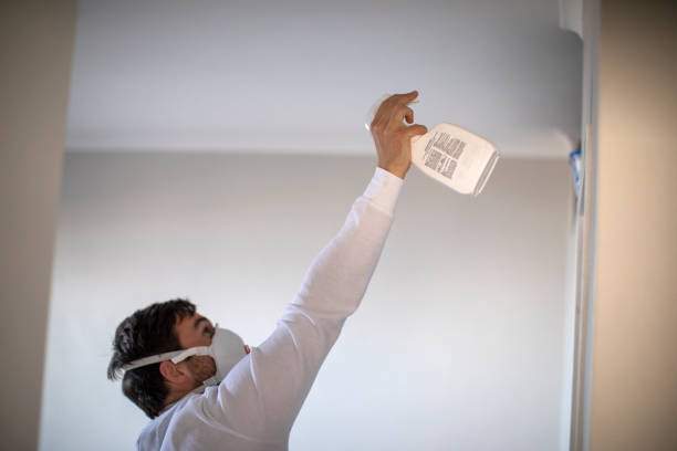 Best Crawl Space Mold Remediation in Morris Plains, NJ