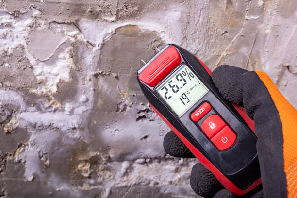 Best Kitchen Mold Remediation in Morris Plains, NJ